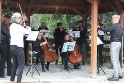amoroso